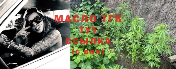 дмт Алзамай