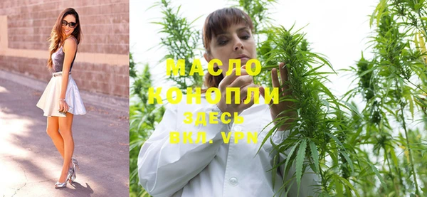 дмт Алзамай