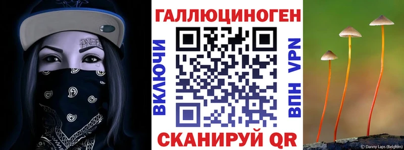 Галлюциногенные грибы MAGIC MUSHROOMS  Щёлково 